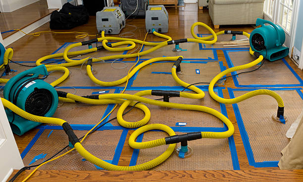 Professional Basement Flood Cleanup technician working in Glenwood, IN